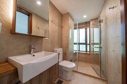 Holland Link (D10), Terrace #503034931